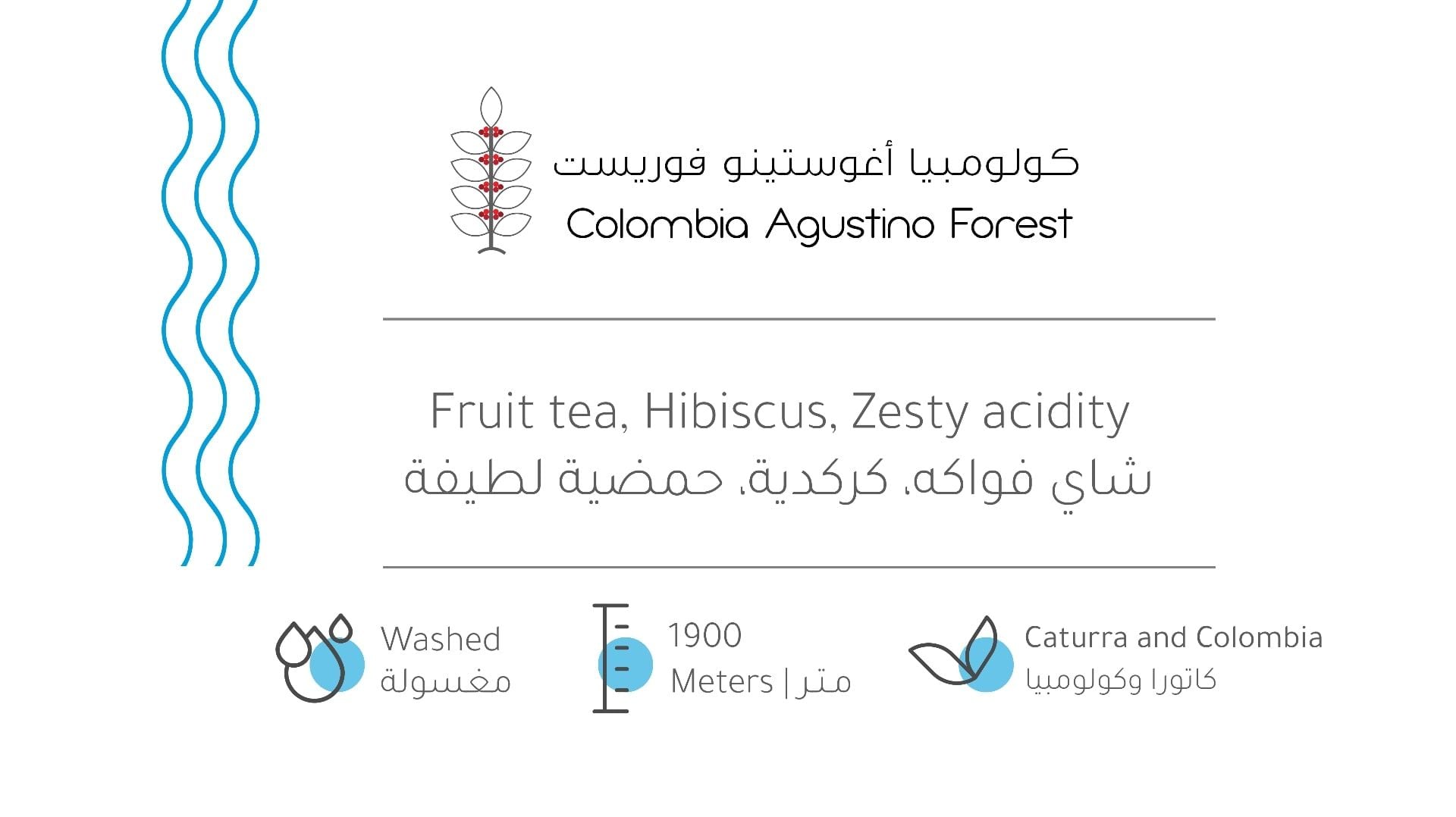 كولومبيا اغوستينو بيت التحميص