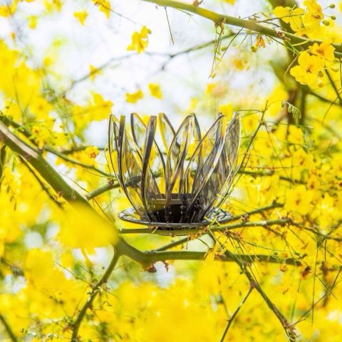 قمع الترشيح سيورين